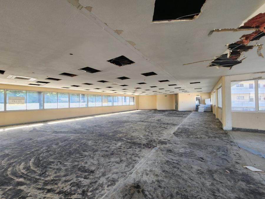 Commercial Property for Sale in Van Ryneveld Western Cape